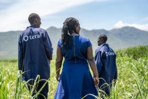 Un proyecto keniano es el primero de África validado según norma europea de carbono : IPS Agencia de Noticias