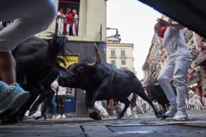 Veloz y multitudinario quinto encierro de los Sanfermines, protagonizado por los Jandilla | europapress.es