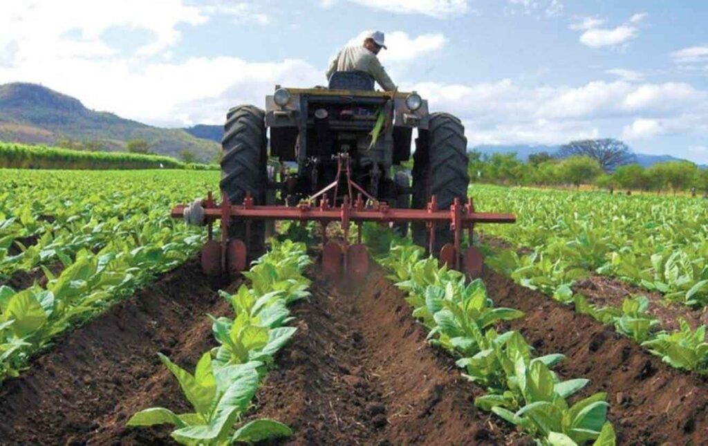Sector-agroalimentario
