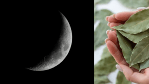 atraiga prosperidad con la luna