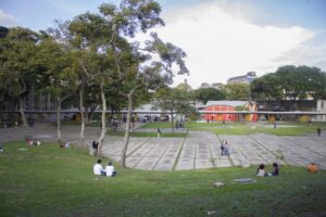 eliminación de pruebas internas viola la autonomía