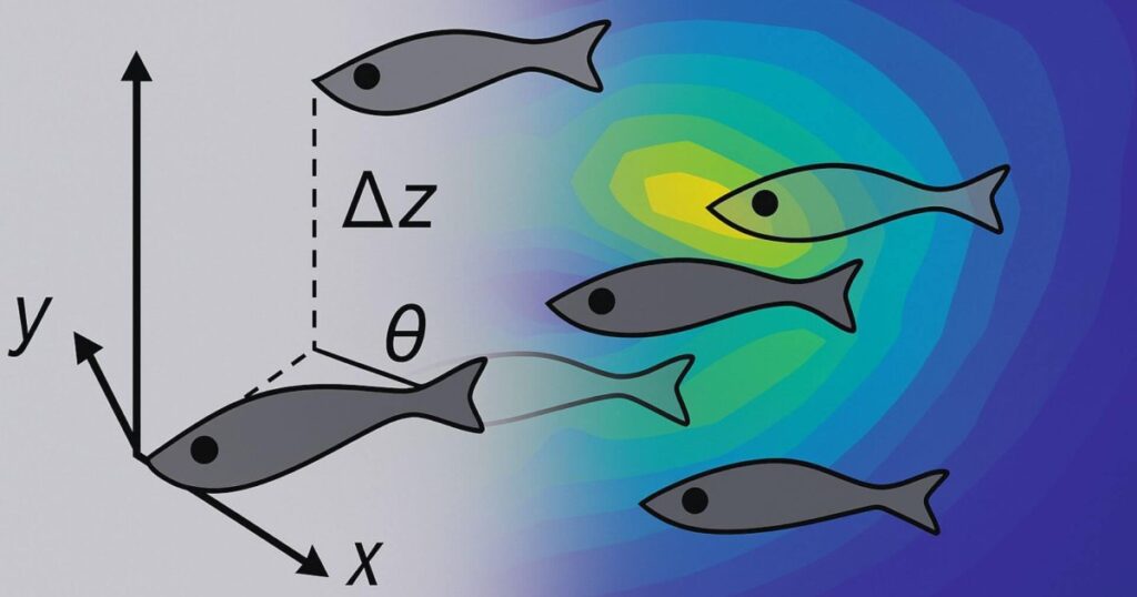 este hallazgo revela el verdadero patrón de nado de los peces