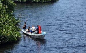 joven fue devorado por cocodrilos en un paseo por manglar