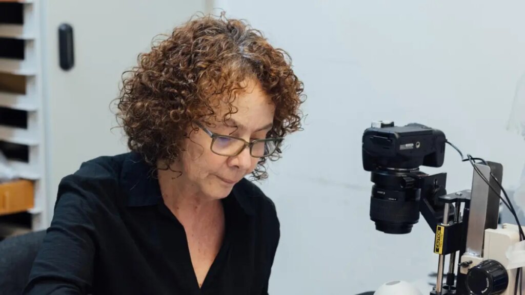 la científica colombiana que se enamoró de las moscas y ayudó a resolver varios crímenes con ellas