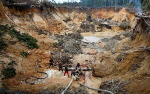 mineros ilegales sostienen entre burlas la deforestación al sur del Orinoco