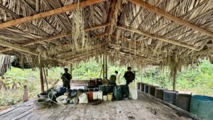producían droga avaluada en 1.265 millones de pesos; operativos de Armada