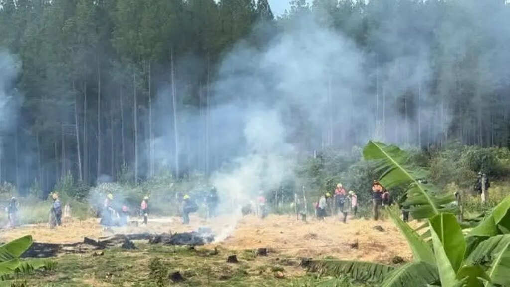 violento desalojo y retenciones de tres operarios de caña