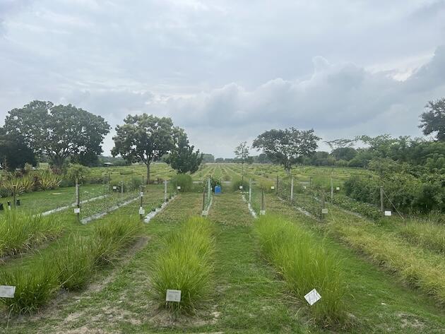 ¿Cumplirá el Fondo de Cali con los mil millones de dólares para la biodiversidad? : IPS Agencia de Noticias