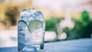 ¿Es el gin tonic digestivo? Un nutricionista responde a la pregunta