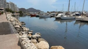 ¿Es seguro bañarse en las playas de Santa Marta? Procuraduría exige estudios urgentes tras denuncias por lesiones en la piel