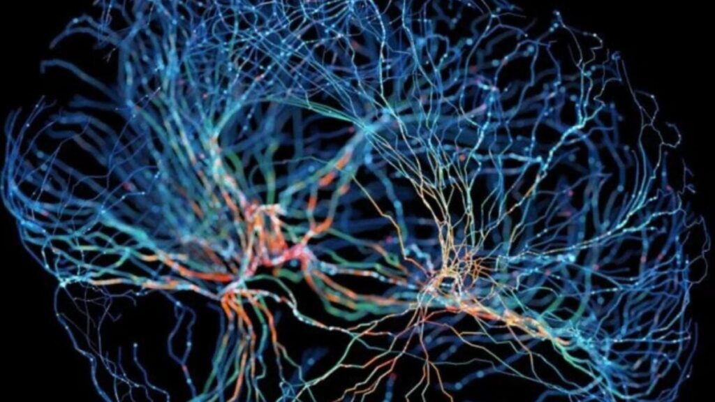 ¿Se pueden extraer los recuerdos de los fallecidos? Esto es lo que respondieron los neurocientíficos