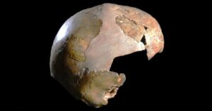¿Un entierro híbrido? Este enigmático cráneo infantil de 140.000 años podría reescribir la historia humana