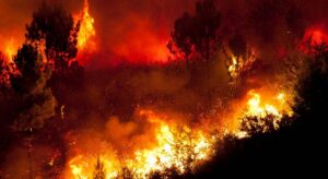 Apagar una hectárea de monte incendiado cuesta 30.000 euros frente a los 3.000 de invertir en prevención