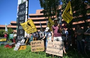 ACETAMIPRID CÁNCER | La ‘ley Duplomb’ divide a Francia en la lucha contra los pesticidas potencialmente cancerígenos | elperiodico.com