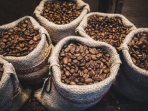 Acuerdos del Gobierno con el agro: avances y compromisos pendientes | Gobierno | Economía