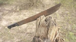 Asesinan a machetazos a un hombre en Cojedes