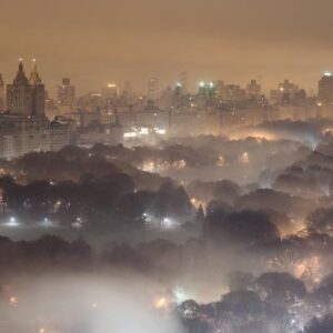 Así es cómo las luces de las calles están afectando a la naturaleza