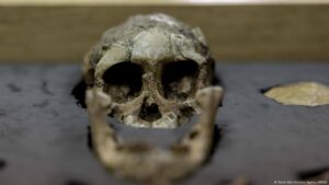 Australopithecus desconocido y Homo coexistieron en África – DW – 14/08/2025