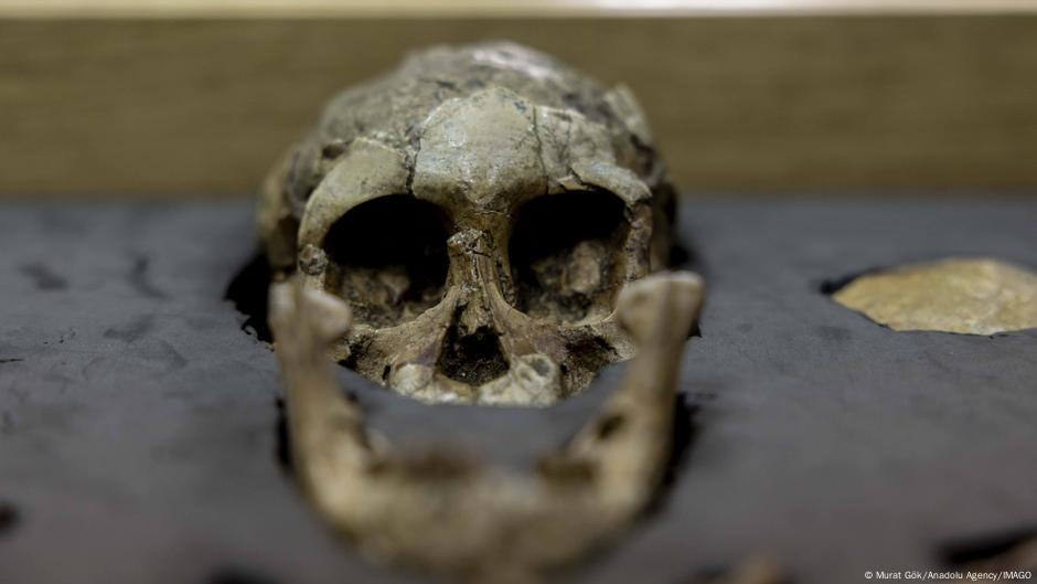 Australopithecus desconocido y Homo coexistieron en África – DW – 14/08/2025