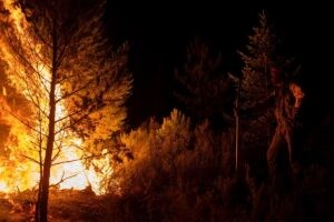 Bajan a 13 los incendios activos de alto riesgo en Castilla y León, Galicia y Asturias | europapress.es