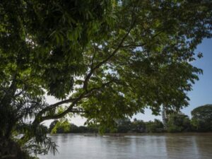 Balance de gestión del Ministerio de Ambiente, a un año de terminar el gobierno Petro | Gobierno | Economía
