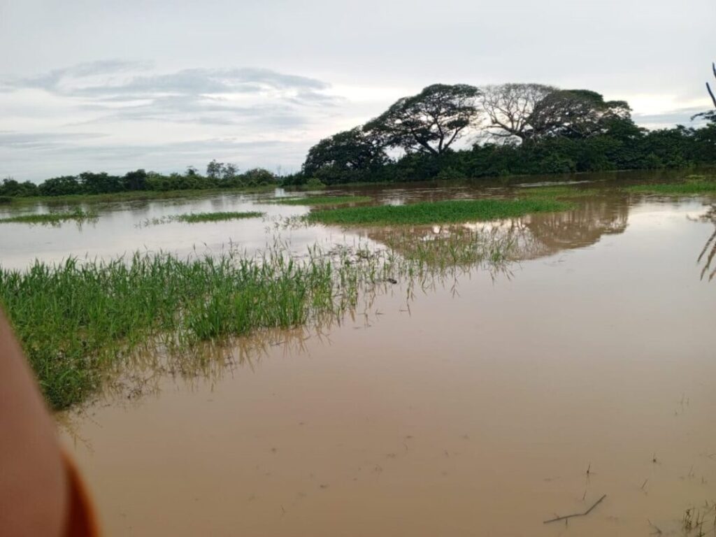 Barinas en alerta ante crecida del río Santo Domingo
