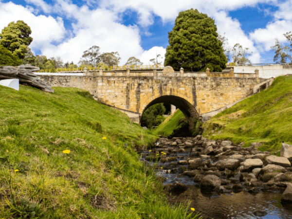 Bellísimo: el mágico lugar de Colombia donde puede caminar sobre un puente de agua | Regiones | Economía