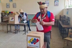 CNE publica listado de concejales indígenas electos sin porcentajes o cantidad de votos