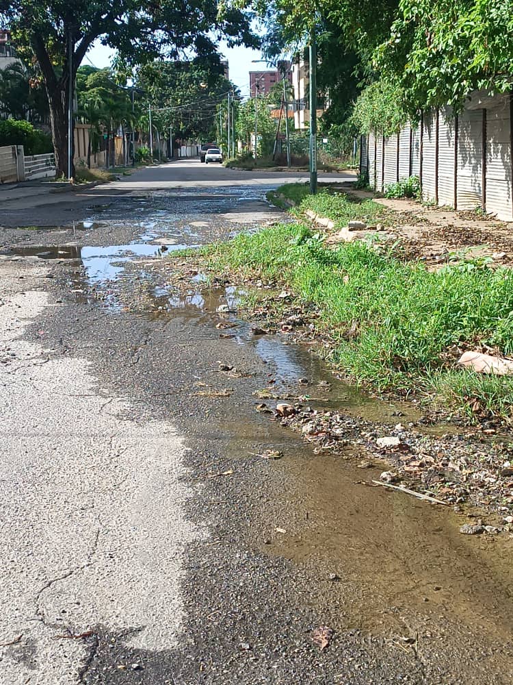 “Calles y avenidas en condiciones intransitables”