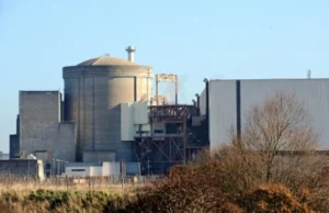 Central de Gravelines reanudó actividades tras paralización por medusas