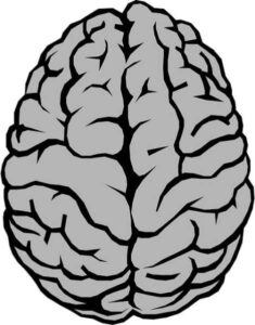 Colesterol y cerebro: cómo influye este lípido en la salud mental y el deterioro cognitivo