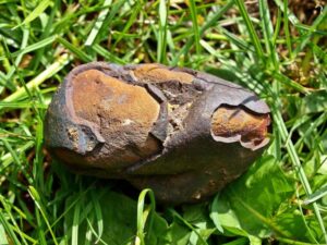 Cómo reconocer un meteorito en la Tierra: Guía para cazadores de tesoros espaciales