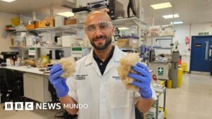 Cómo una crema dental hecha de tu propio pelo podría reparar tu dentadura