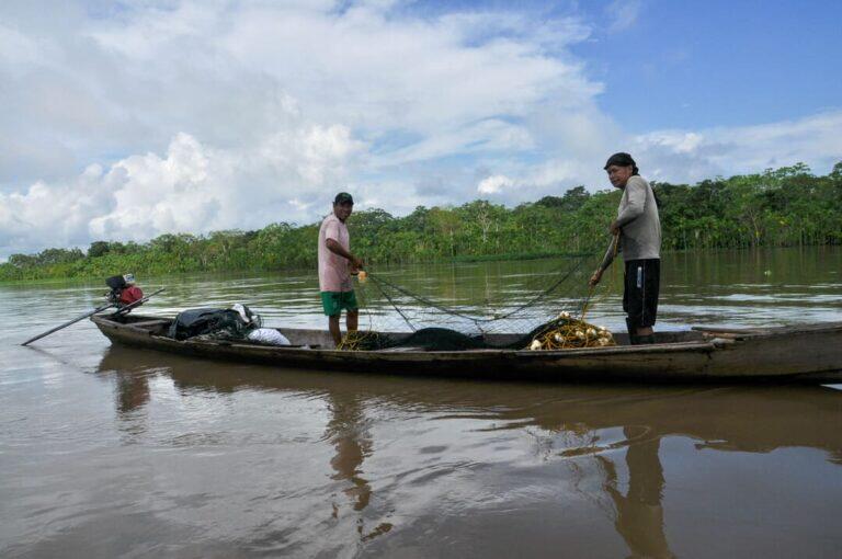 Comunidades indígenas de Amazonia colombiana pierden con los bonos de carbono : IPS Agencia de Noticias