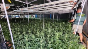 Desarticulada banda de más de 170 narcotraficantes polacos que operaba desde España | elperiodico.com