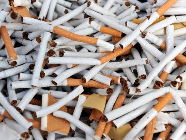 Dian restringe el tránsito internacional de cigarrillos para combatir el contrabando | Impuestos | Economía