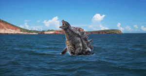 EE.UU difunde nuevas imágenes de Godzilla rumbo al Caribe – El Chigüire Bipolar