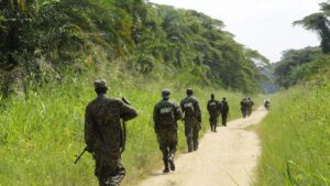El M23 y milicias afines a la República Democrática del Congo reanudan los combates en el este a pesar de los esfuerzos de paz | elperiodico.com