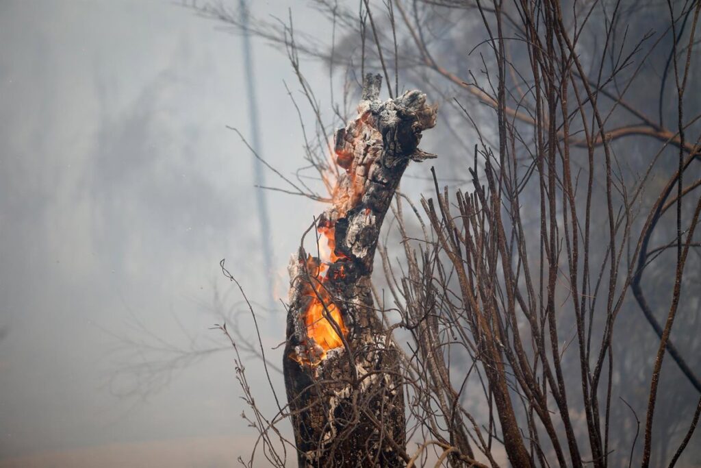 El fuego mantiene activos 40 focos en España, mientras se intensifica la ayuda internacional y de otras CCAA
