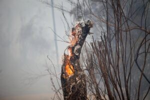 El fuego mantiene activos 40 focos en España, mientras se intensifica la ayuda internacional y de otras CCAA | europapress.es