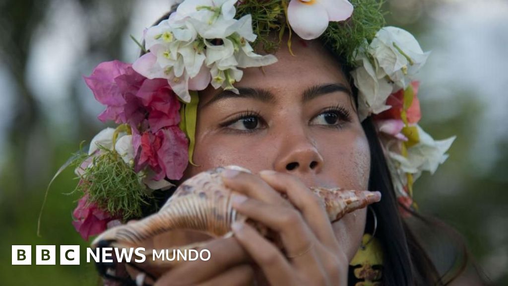 El inesperado papel que pueden jugar los caracoles marinos para tratar los ronquidos y la apnea del sueño