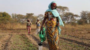 Electrificación feminista: la energía que necesita África : IPS Agencia de Noticias