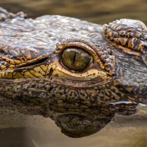 Estos destinos mágicos quedan en México y probablemente no sabías que existían