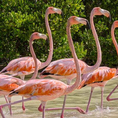 Estos lugares existen de verdad y están en México: cómo sacarles la mejor foto con tu celular como un profesional