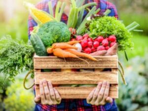 Estrategia “Productos Colombianos que Construyen País” busca fortalecer consumo nacional | Agro | Economía