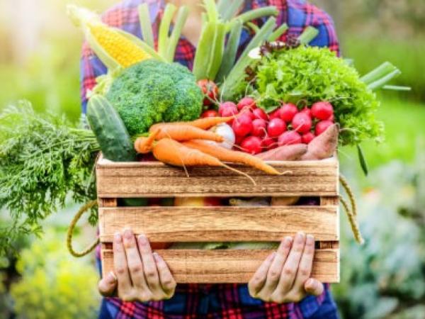 Estrategia “Productos Colombianos que Construyen País” busca fortalecer consumo nacional | Agro | Economía
