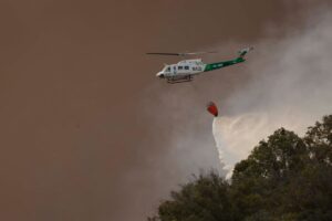 Evacuados hoteles, campings, chiringuitos y 5.000 vehículos por un incendio en Tarifa (Cádiz) | europapress.es