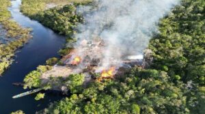 FANB destruye más de 10 campamentos ‘Tancol’ en la frontera