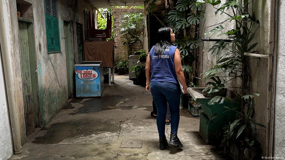 Fábricas de mosquitos para combatir el desafío del dengue – DW – 20/08/2025