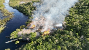 Fanb destruye más de 10 campamentos Tancol